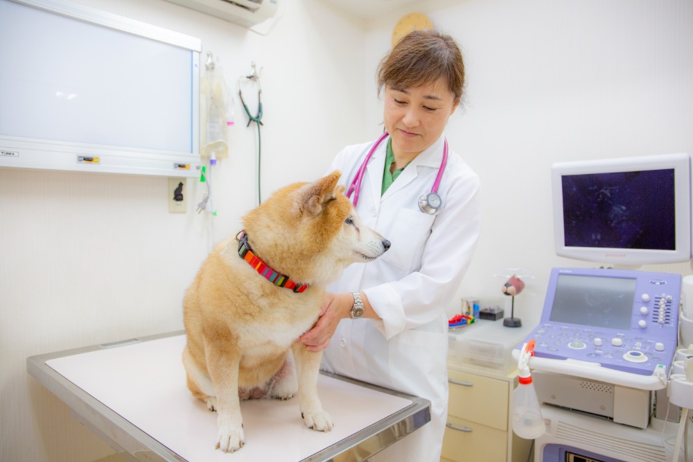 治療方針