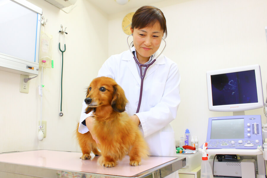 中医学を用いた治療について