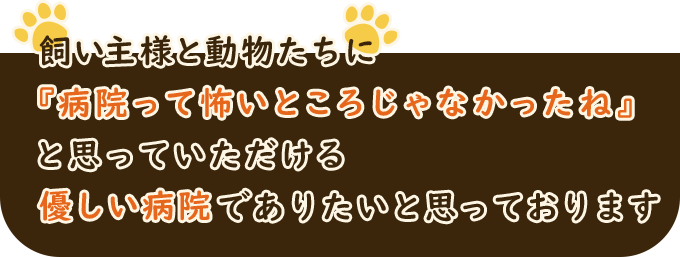 モナ動物病院